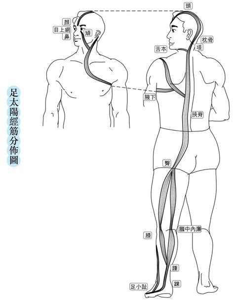 經筋師|首頁